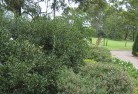 Eglinton NSWresidential-landscaping-35.jpg; ?>
