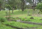 Eglinton NSWresidential-landscaping-39.jpg; ?>