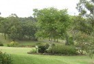Eglinton NSWresidential-landscaping-40.jpg; ?>